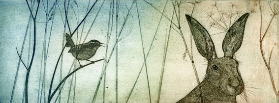 Hare prints by Kerry Buck kerrybuckartistblog.wordpress.com/2018/07/13/har…