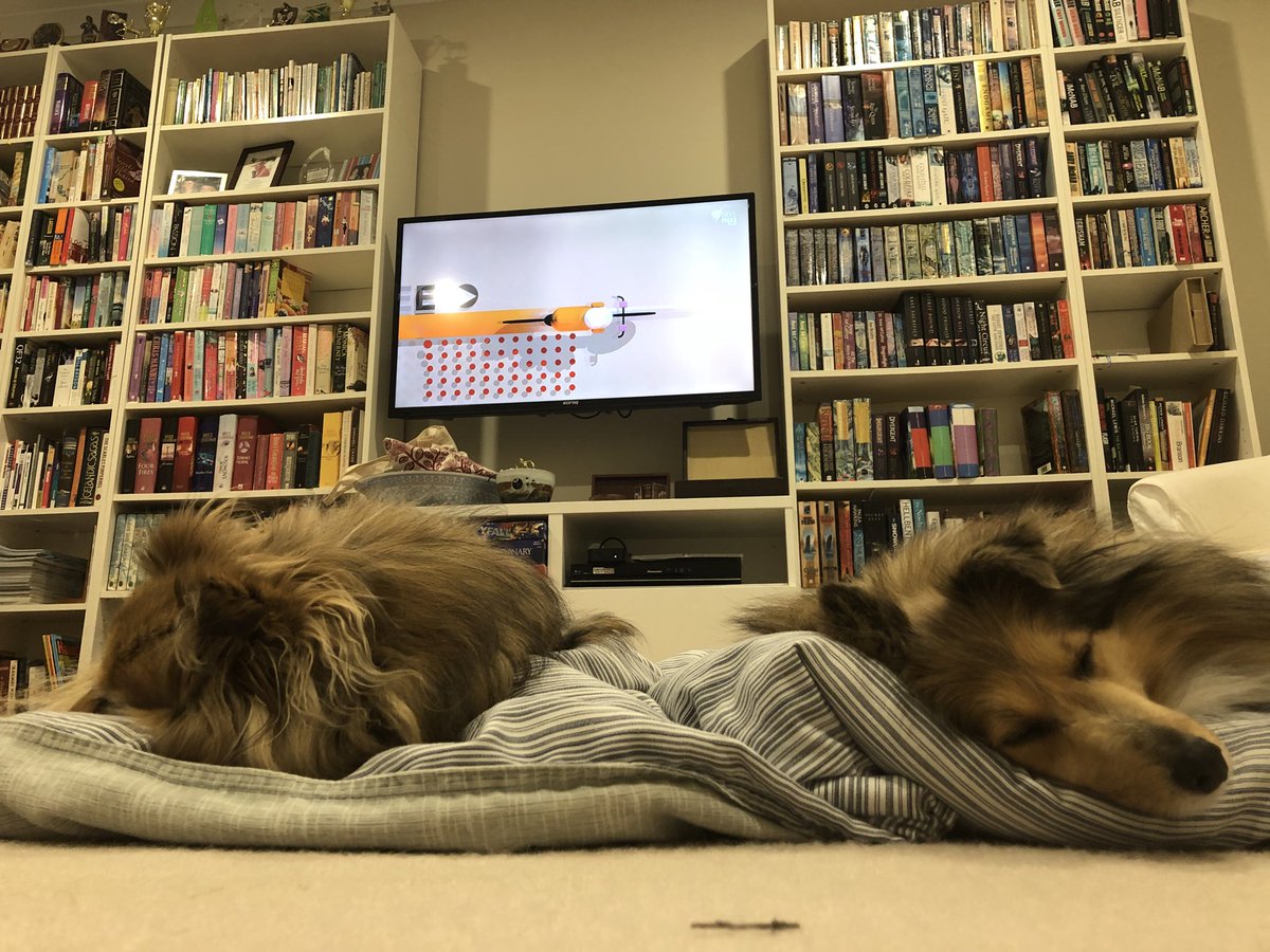 lukekay's tweet photo. Everyone resting up before the race finish. #tourdog #sbstdf https://t.co/n5Ecdnl3Ym