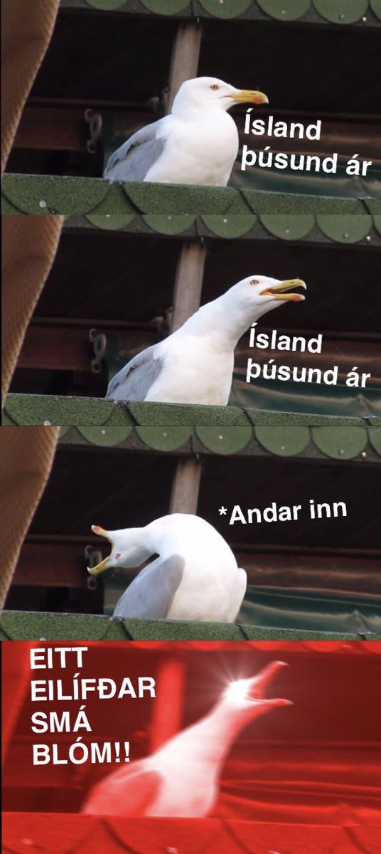 Hvert skipti sem Lofsöngurinn er spilaður