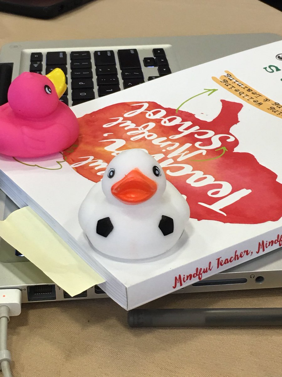 tloose912's tweet photo. Mighty Duck needs to be more mindful about sitting on other’s books.  Destress without causing stress to others. #Medialitmu https://t.co/3wHgLJCVjy