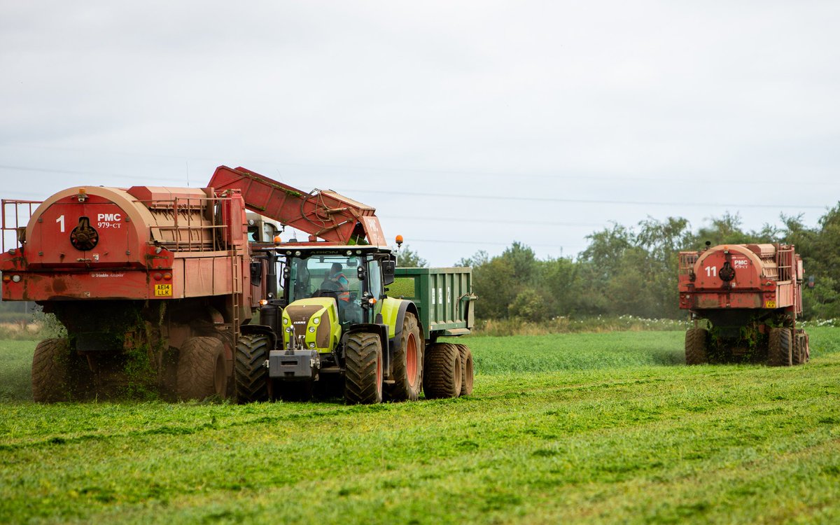To celebrate #GreatBritishPeaWeek we’re visiting our Farmers in Lincolnshire to watch this year’s pea harvest