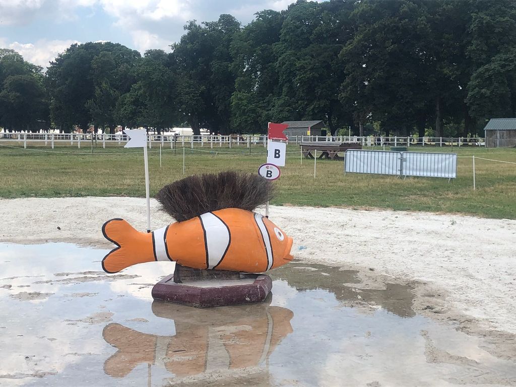 CrossCountryapp's tweet photo. We found Nemo @Haras_de_Jardy https://t.co/1QYthQctBN @ERMeventing @Shane_M_Rose #virtualcoursewalk #ridewithXCapp https://t.co/gRJt0e85xc