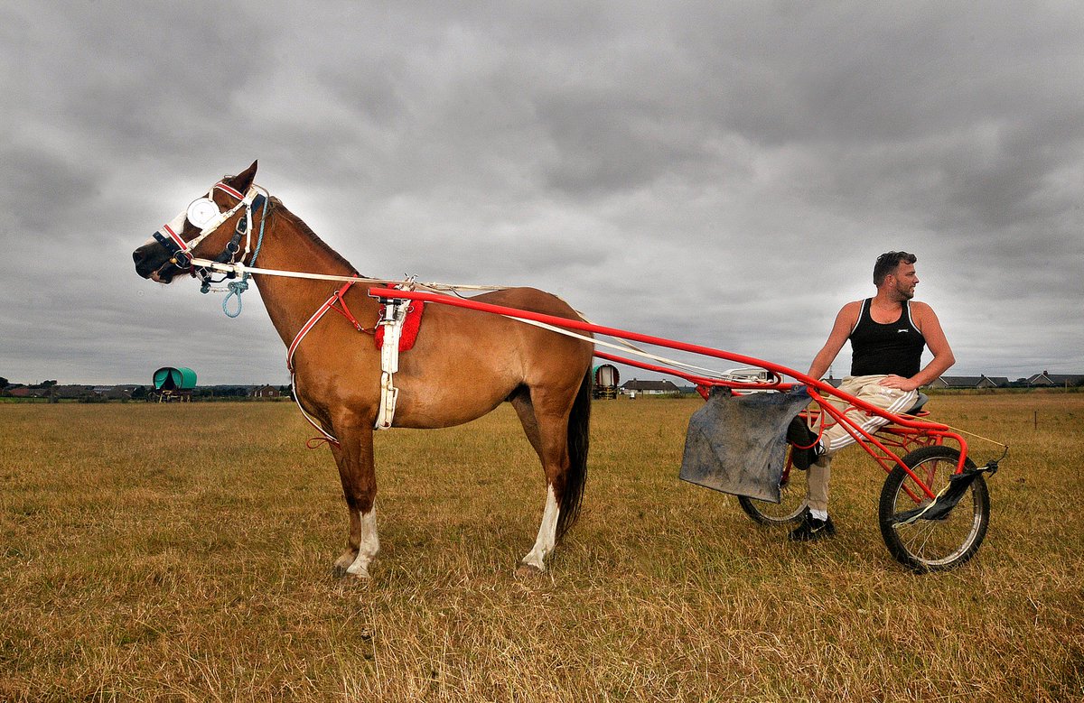Seamer Horse Fair <a href="/TheScarboroNews/">The Scarborough News</a>