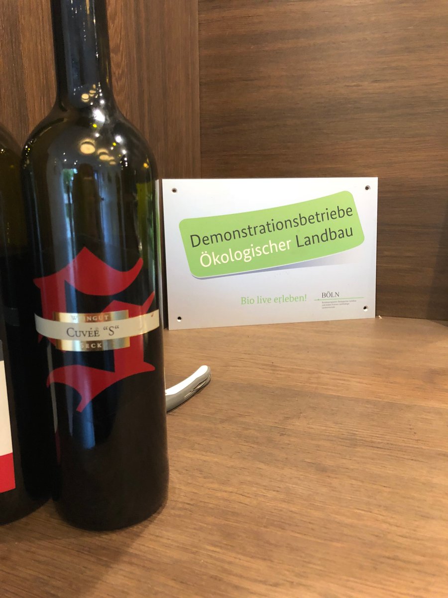 mpBonn's tweet image. Auch am 2. Tag der #demoTOUR erwartete ein interessanter #Demobetrieb die Koordinationsstelle der @biohoefe: Das #Bio-Weingut Axel Seck in Dolgesheim. Hier wurden unsere Kollegen zu wahren #Wein-Experten geschult. 🍷#Cheers #BioErleben #mpOnTour Mehr hier: instagram.com/biohoefe