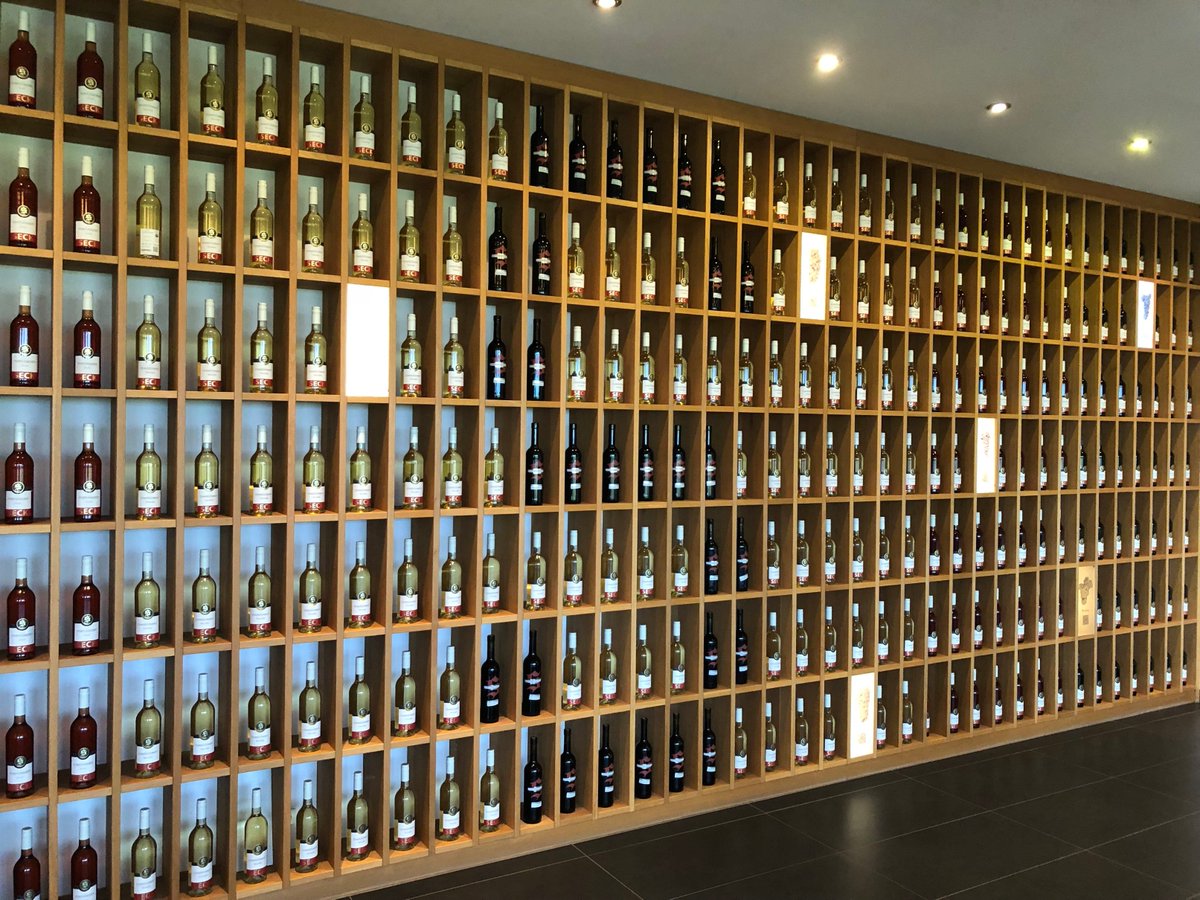 mpBonn's tweet image. Auch am 2. Tag der #demoTOUR erwartete ein interessanter #Demobetrieb die Koordinationsstelle der @biohoefe: Das #Bio-Weingut Axel Seck in Dolgesheim. Hier wurden unsere Kollegen zu wahren #Wein-Experten geschult. 🍷#Cheers #BioErleben #mpOnTour Mehr hier: instagram.com/biohoefe