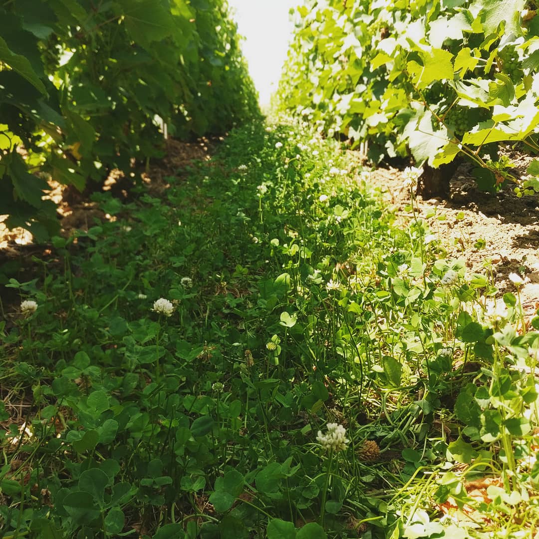 Dernier travail des sols de la saison
☀️😍👌
Last tillage of the soils of saison.