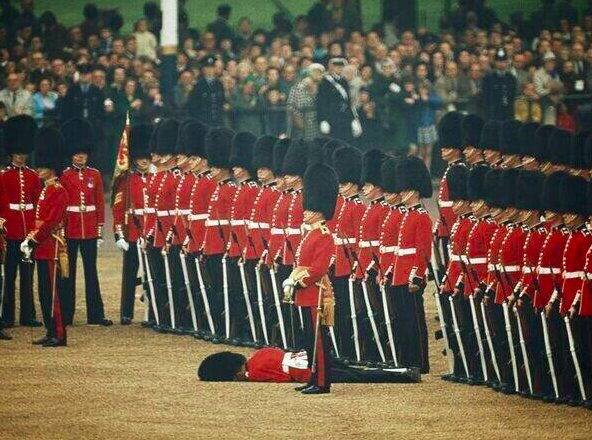 HistoryInPics's tweet image. Guardsman fainted during a ceremony, but other guards kept their attention. London, 1966