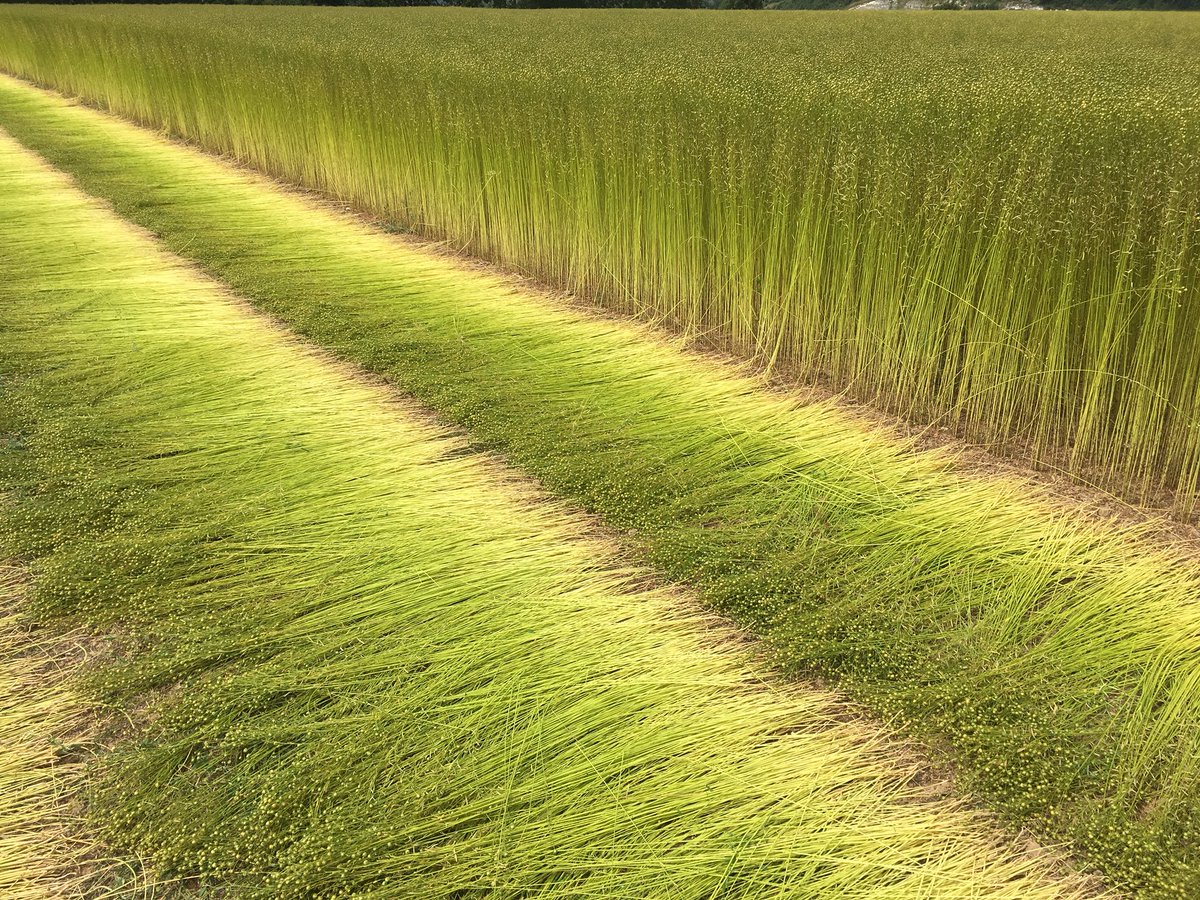 Julien HEBERT tweet media