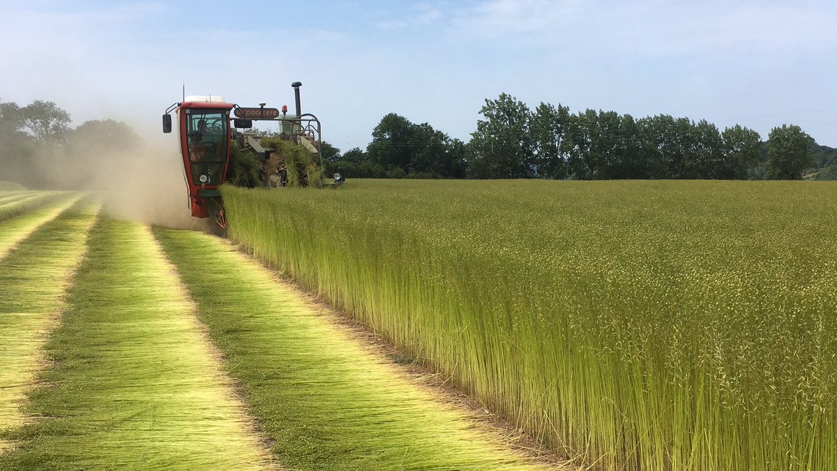 Julien HEBERT (@hebert67066157) on Twitter photo 