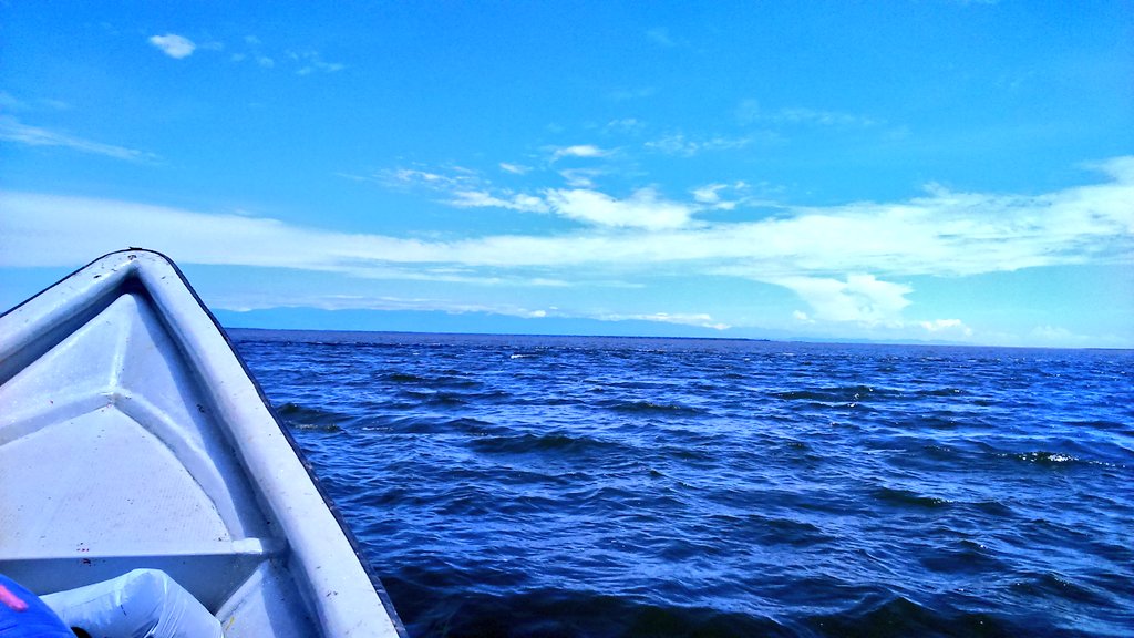 Mangle_Blanco's tweet photo. Yesterday's trip pics. #BocasDelAtrato ahead. Crossing the #UrabáGulf, Serranía del Darién and Panamá in the background. #coastmap #Cartocosta #researchfellowship @youthmappers https://t.co/qtmIwEzoXp