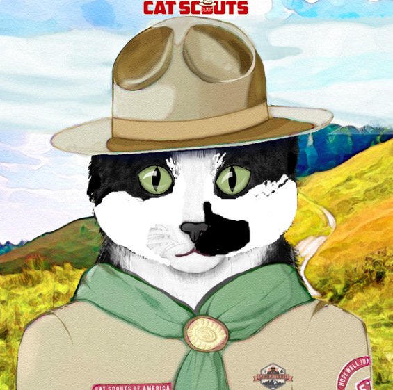 Mau now has an avatar for <a href="/CatScouts/">Cat Scouts</a>. I had to manipulate it to have it look like him! Are you a Cat Scout? If not, what are you waiting for?catscouts.com to join.