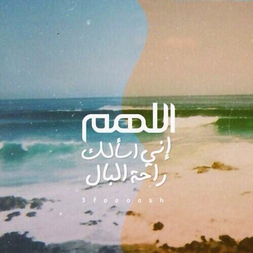 DA1234N's tweet photo. @qarz75 @trqrt @11TZ1 @RXZ71 @A224R @TRZZO @Mr7100 @T23Z5 @dalaa00 @HWAWI_1 @tk_x_tk @QQ80O  https://t.co/XDxSz9QcGD