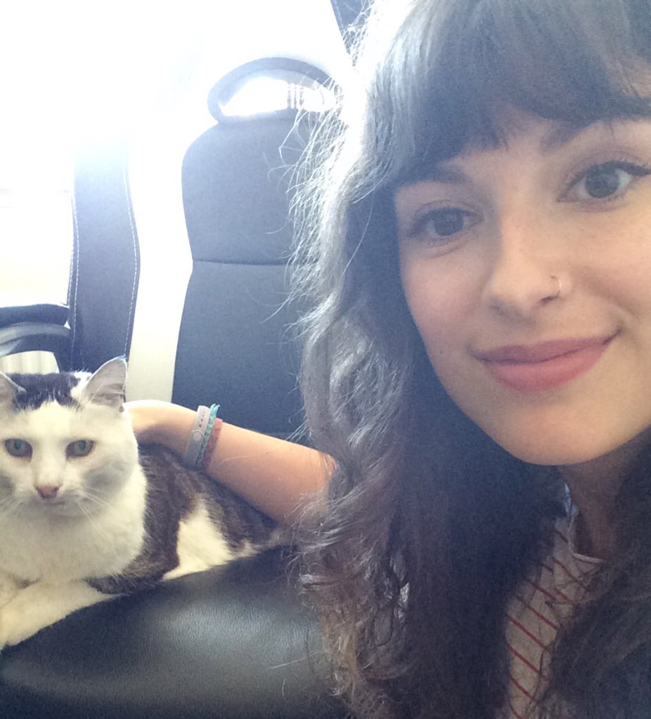 Moonwinter_'s tweet photo. Alex stole my chair 😂 Going LIVE at 3pm with some Fallout 4! I miss playing it ❤️
-
https://t.co/8TbgyooEcl
-
#fallout4 #fallout76 #fallout4game #postapocalypse #cat #kitty #gamingchair https://t.co/JqPF2CAgAB