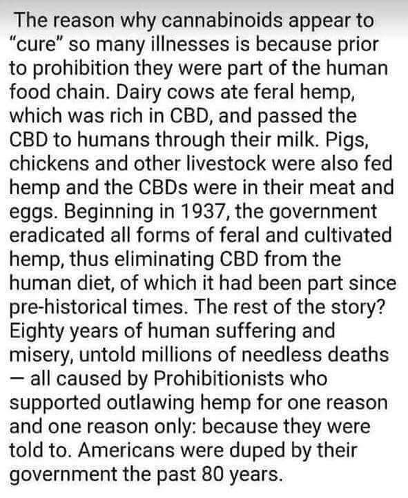 whiterhinouk1's tweet image. Real truth right here. Without it we all suffer. 😞
.
.
.
.
#stayrhino #staywoke #stayhealthy #whiterhinoukclothing #whiterhinoclothing #need420 #hemp #hempoil #cbd #thc #fuckpharma #freetheweed #itsjustaplant #makeitlegal
