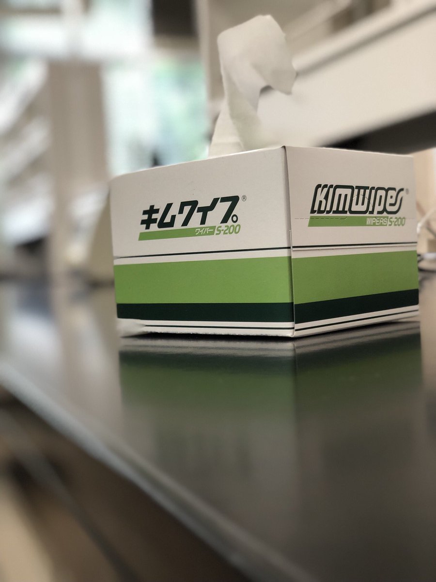 BotchanLab's tweet image. He is my parter.
彼はとても有能です☺️
#Interlab #igem