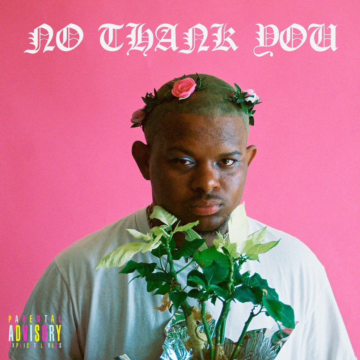 HELLOLUCIUS's tweet photo. NO THANK YOU

My debut album is streaming everywhere now. 

https://t.co/7iijtRKPk0

🔥🏁🔥💕🔥☠️🔥🏁🔥☠️🔥☠️ https://t.co/JrwIS8Gymd