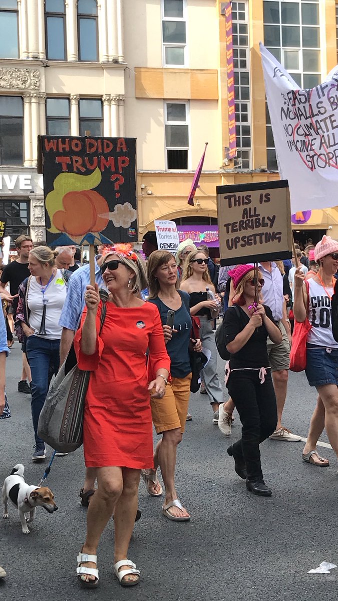 GuinnessKebab's tweet image. The most British sign I’ve seen yet: “This is all terribly upsetting” #TrumpProtests