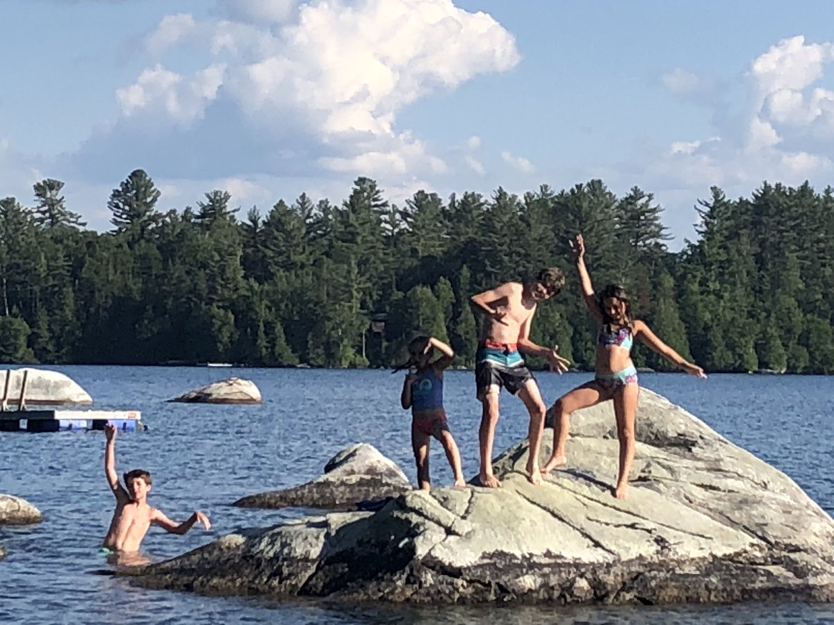 Melissa Piscitelli tweet media