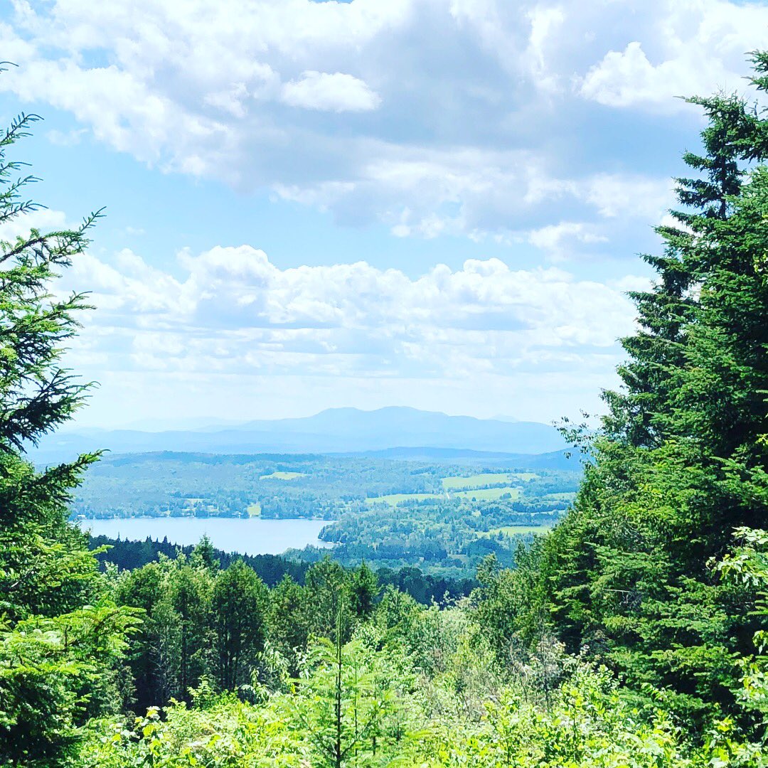 Melissa Piscitelli tweet media