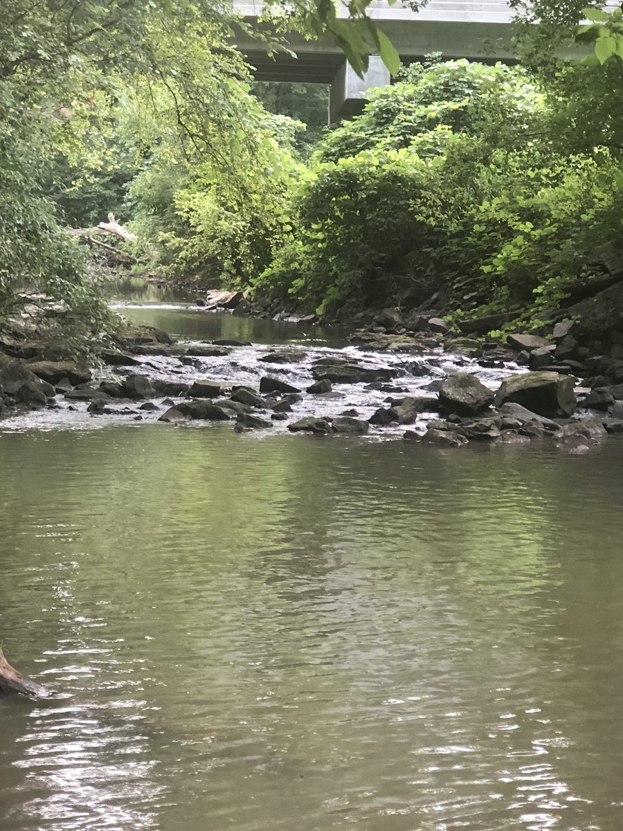 NatEnviroSummit's tweet photo. They also got a chance to catch fish and clams. Tomorrow they will be cooking with kudzu, using their imagination to create (hopefully) delicious dishes. Stay tuned for more! #redesigningourfuture #nes2018 https://t.co/2yreCgNBAU
