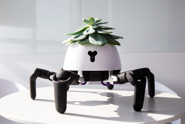 exselligence's tweet image. "Ce robot pot de fleurs déplace votre plante vers le soleil" @VincrossHEXA #VendrediLecture #HEXA #programmablerobot #robotics bit.ly/2Jkl8f3