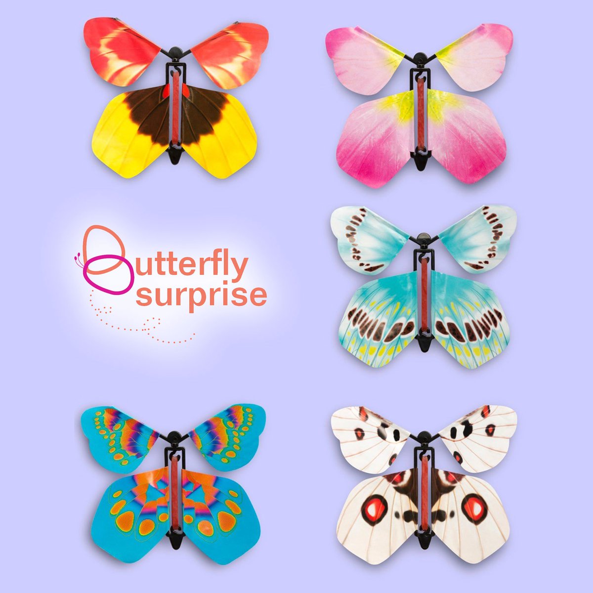 BFlySurprise's tweet photo. #BFLY and BUY your pack of 5 AMAZING colour Butterfly Surprise. Perfect for birthdays, cards, pranks! 😁🤣🦋
Available here: https://t.co/GGHsIhgF8h
#ButterflySurprise #Prank #Gift #Card #UK https://t.co/Xs7aPhpGzd