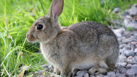 John Pinnegar tweet media