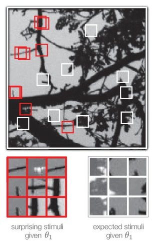 Gray scale photo of tree branches against the sky highlighting image patches that are surprising given the observer’s estimate and expected patches.