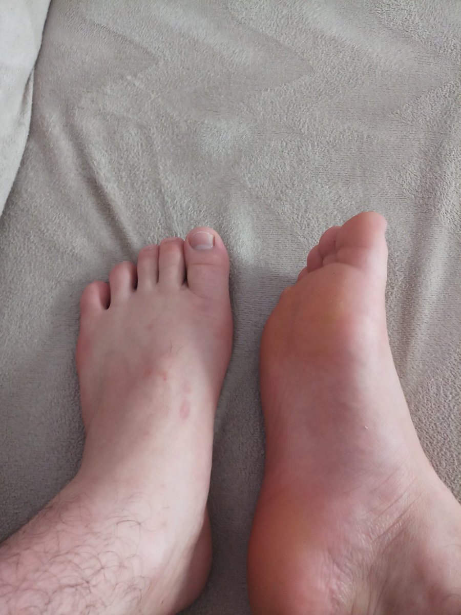 AsilMaster's tweet photo. Köleler mesaja...

#sahibe #Mistress #FemDom #KÖLE #sahip  #Master #pasifgay #pasiftravesti #dişiköle #erkekköle #ayakfetiş #AYAK  #ayakkölesi https://t.co/rqIv6SSimi