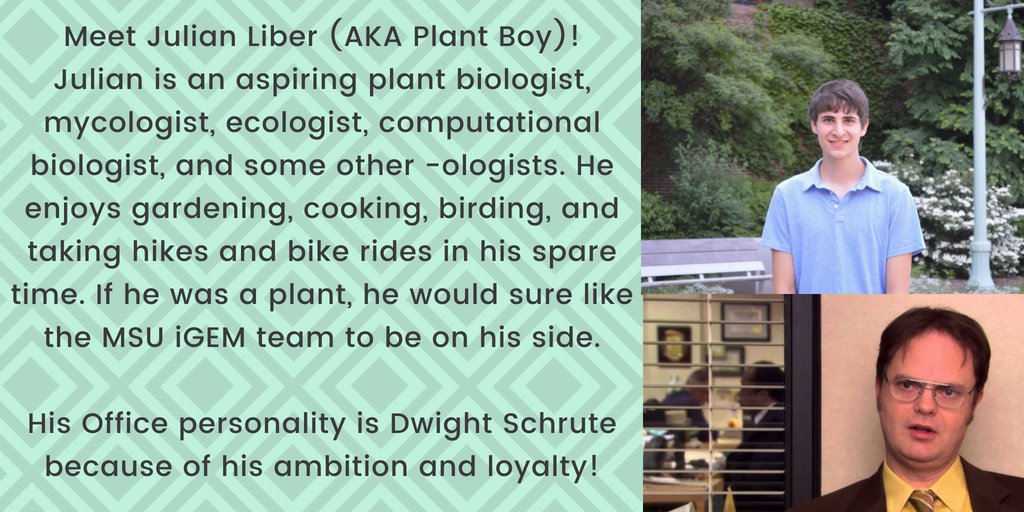 iGEM_MSU (@igemmsu2018) on Twitter photo 