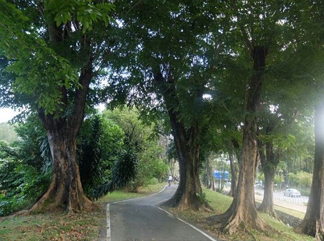 Other local paths you can enjoy. Teka kat mana