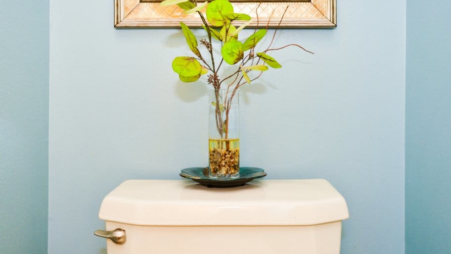 angi_home's tweet image. #DidYouKnow that you can use two common #household products to naturally #unclog your #toilet? 🤔🚽
angieslist.com/articles/can-b…