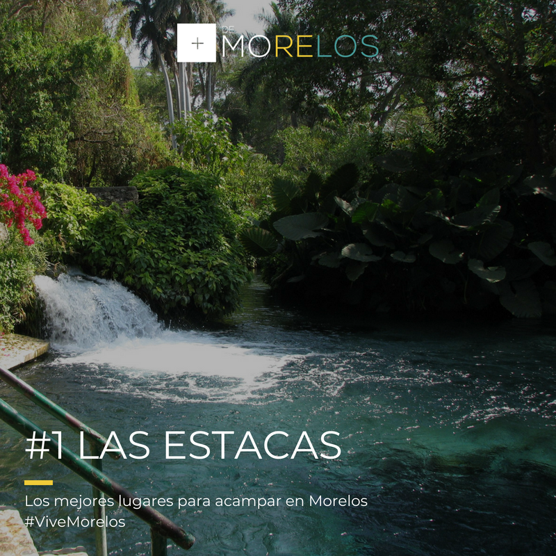 masdemorelos's tweet photo. #AMiMeDescuidan y ya me estoy lanzando a pasar el fin en Las Estacas.

#ViveMorelos 👌🌄🌤️🌵💦 https://t.co/v1jceh4pmk