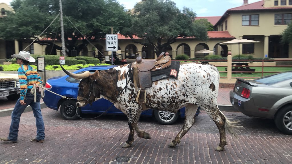 gracey_doane's tweet photo. Fort Worth Stock Show streets &amp; such...@MagnoliaWestFFA @MsLoftin_MWHS @christymcapps #MagWestFFA #FFAStateConvention https://t.co/i7uWCWl36H