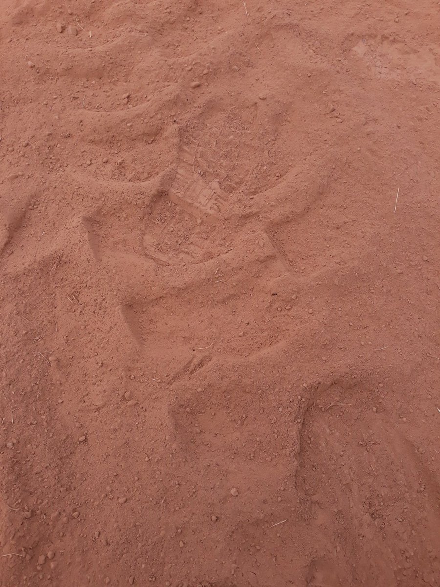 FarmservicesLtd's tweet image. a field or a beach? #dusteverywhere   #hothothot