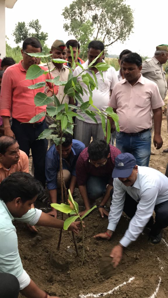 cleanganganmcg's tweet photo. All of us need to play a role in making our environment green. Keeping in mind, plantation activity was carried out in Bhagalpur, Buxar, Chhapra, Begusarai in Bihar and Bithoor, Raebareli &amp; Ghazipur in Uttar Pradesh as a part of ongoing Ganga Vriksharopan Abhiyan . https://t.co/Qk9Qe7E8Jr