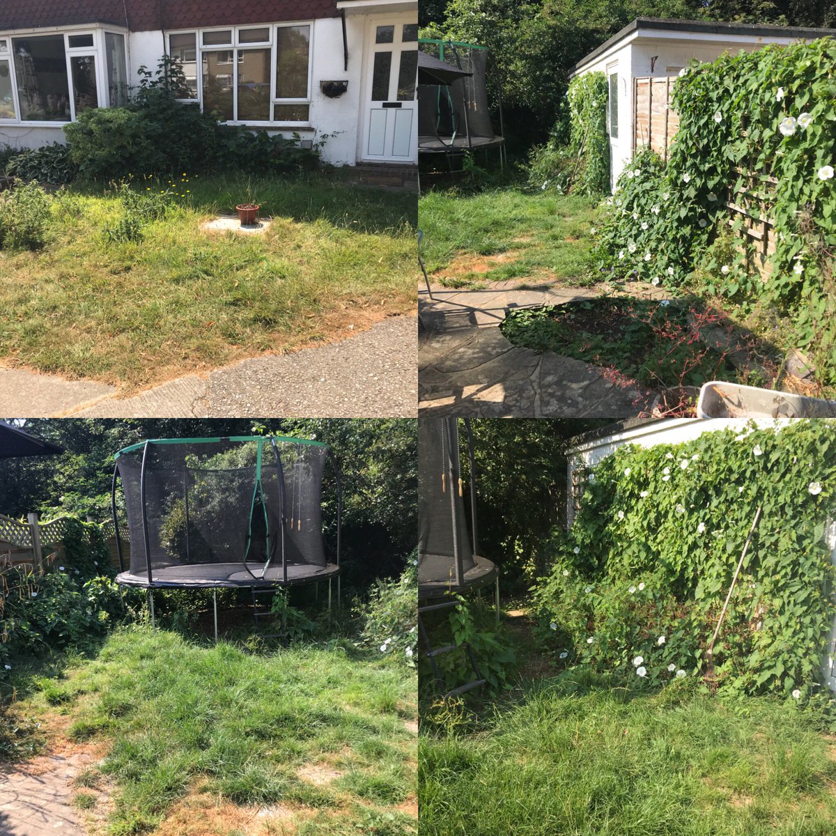 richGUNshow's tweet photo. Before &amp; after ✅ https://t.co/BtohC0rmj9