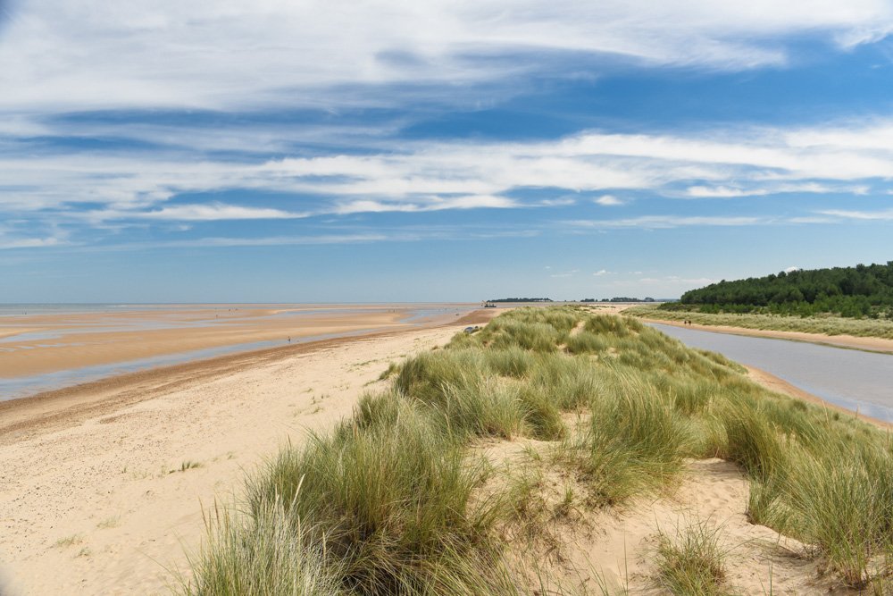 Holkham tweet media