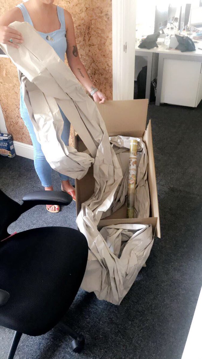 CharlieLucy3's tweet photo. @AmazonUK was the excessive packaging necessary 👀 p.s @SophieMWoodward thanks for modelling the box https://t.co/gHgOuXYFRt