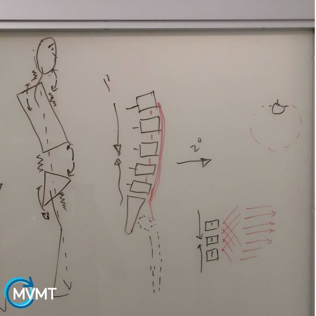 mvmtPT's tweet image. Alignment
As FMTs, we look at posture as a body's relationship with gravity. This drawing on my door was from a conversation with a patient about the role of the core, lumbar stability, and common dysfunctions. What is the core? See our blog post! mvmtpt.com #mvmtpt