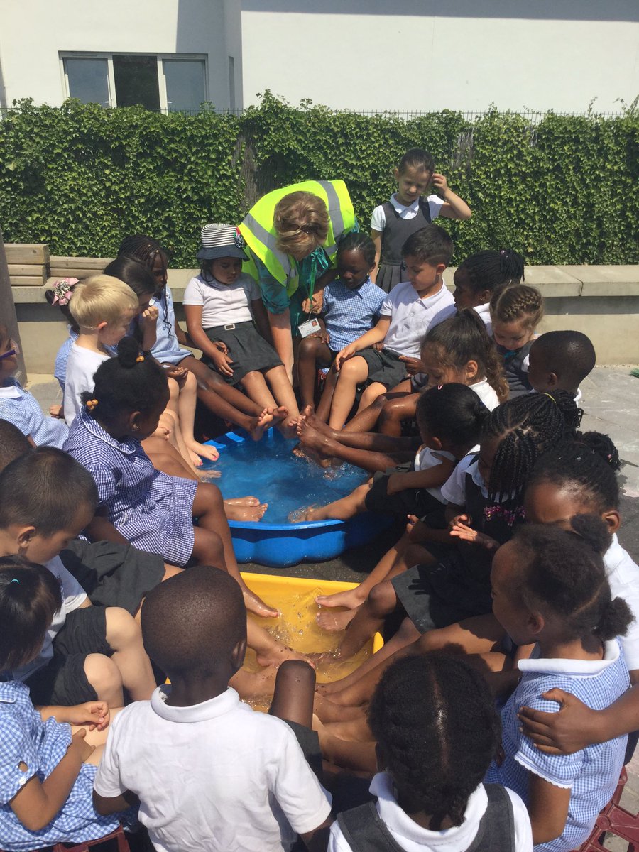 Chestnut tweet media