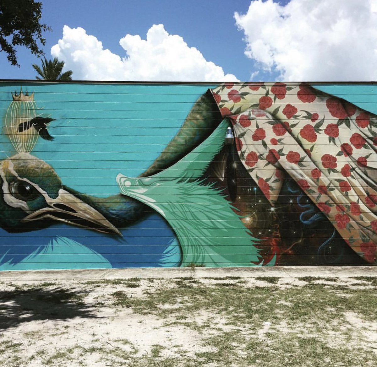 gotostpete's tweet photo. Get out of your comfort zone this weekend. #GoToStPete https://t.co/BZ9Izf3XrC