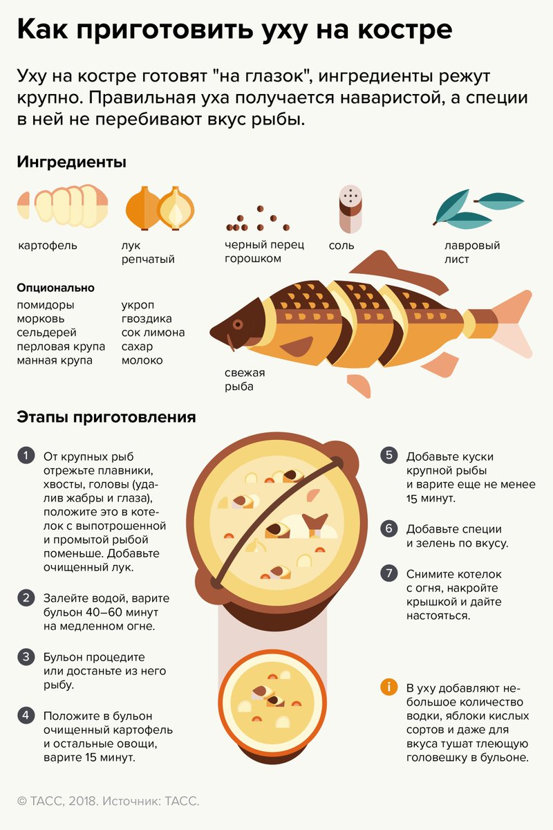 Можно ли давать детям рыбу. Рыба инфографика. Приготовление рыбы. Порядок приготовления ухи. Интересный рецепт из рыбы.