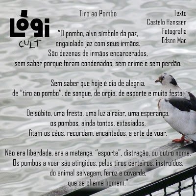 macedoangelo's tweet image. #cultura #literatura

#fotografia: @Edsonmack  #arte: @logicult