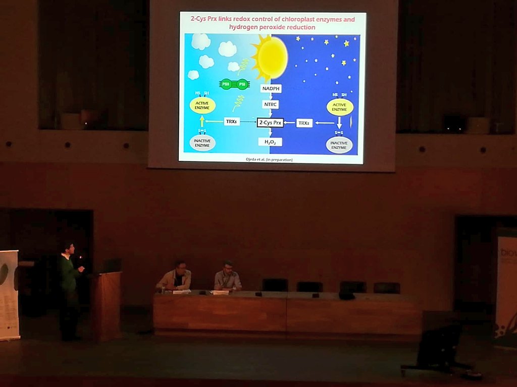 Nice talk on #redox of Juan Pérez Ruiz from <a href="/IBVF_Sevilla/">IBVF</a> at #xivrbmp