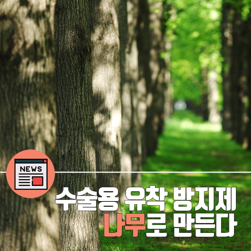 대한민국 산림청 tweet media