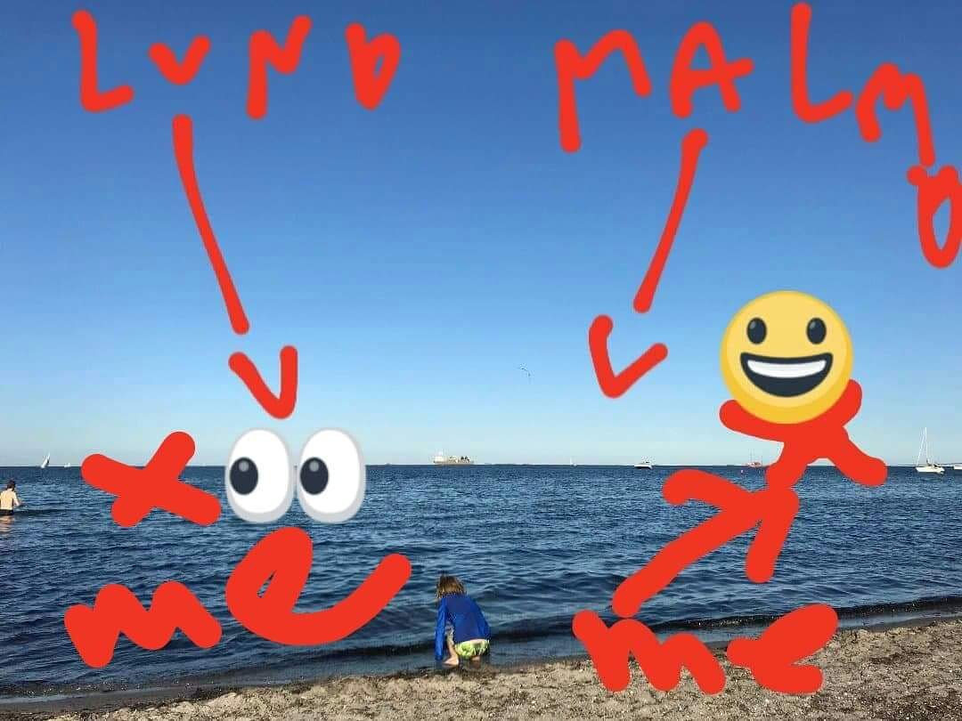 "Mufasa: Look, Simba, everything the light touches is our kingdom." 

The picture is taken from the shores of Copenhagen, looking out over Öresund. #oresundsfandom #battleplan #takeontheworld