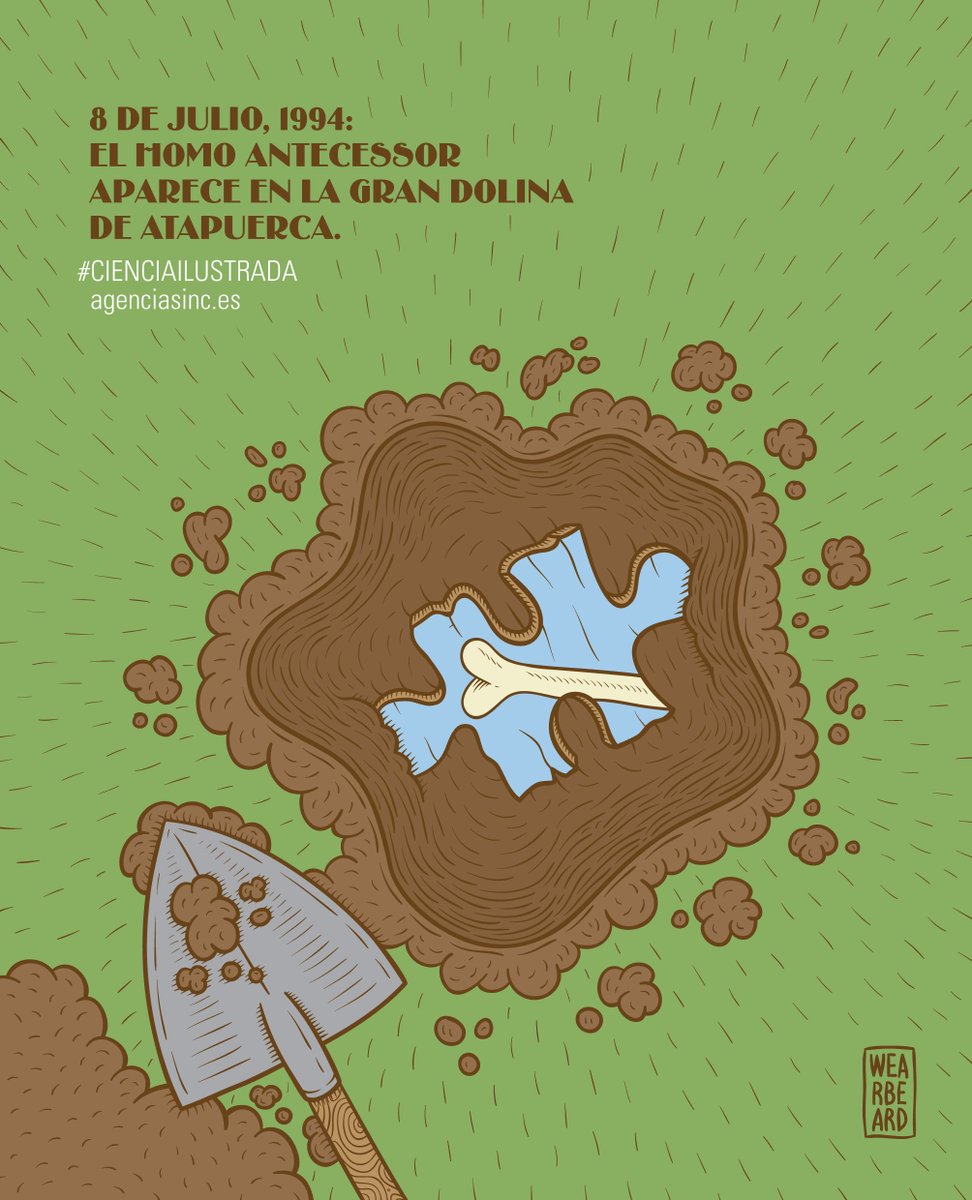Patas arriba: así quedaron las teorías de la evolución humana tal día como hoy en 1994, cuando se hallaron los primeros restos de Homo antecessor en la Gran Colina de Atapuerca