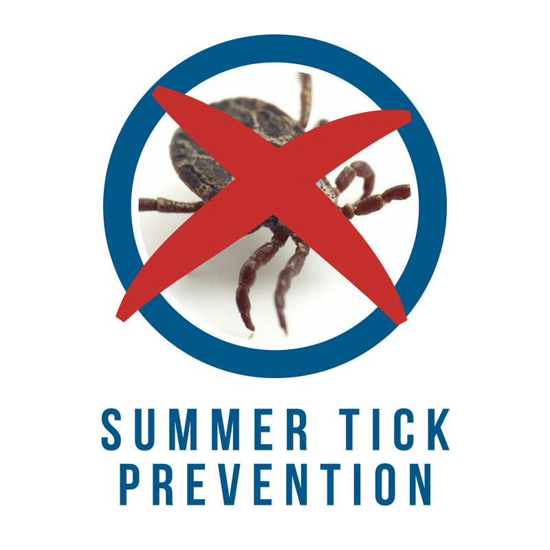 ❗️Tick Alert ❗️Prevent These pesky critters causing your 🐶 trouble this Summer with some simple but effective #tickprevention tips from Gencon #dogtrainingcollars ow.ly/uDX830kMMFy
