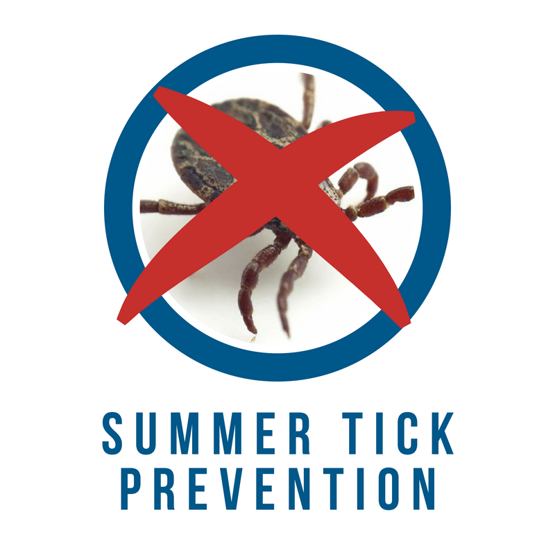 GenconAllin1's tweet photo. ❗️Tick Alert ❗️Prevent These pesky critters causing your 🐶 trouble this Summer with some simple but effective #tickprevention tips from Gencon #dogtrainingcollars https://t.co/5khLb4XoWy https://t.co/Fxro99f4Gv